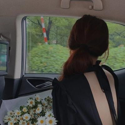 多伦多法律与秩序：犯罪倾向