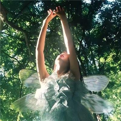 格斗女王的争胜人生