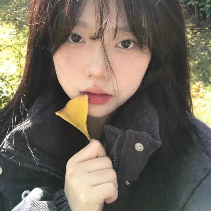 天堂岛疑云第十四季